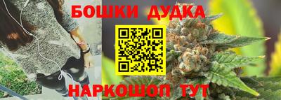 мяу мяу мука Будённовск