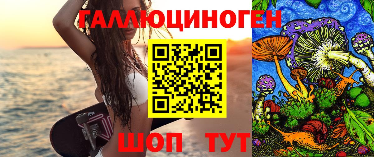 Холмск  Галлюциногенные грибы Psilocybine cubensis  Вход с VPN 